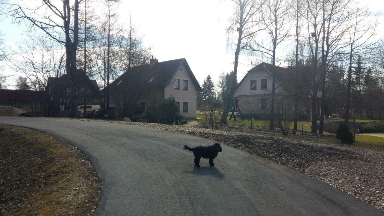 Holiday Home Ermine Сигулда Екстериор снимка